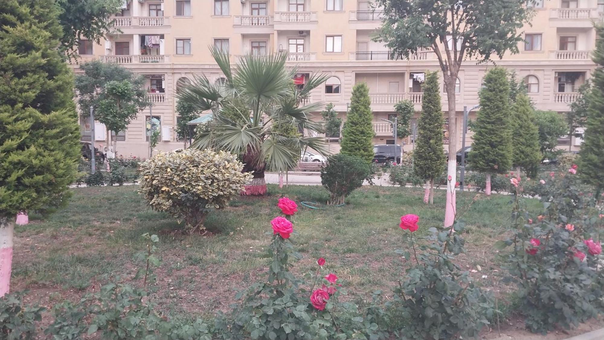 Apartament Banu House Sumqayıt Zewnętrze zdjęcie